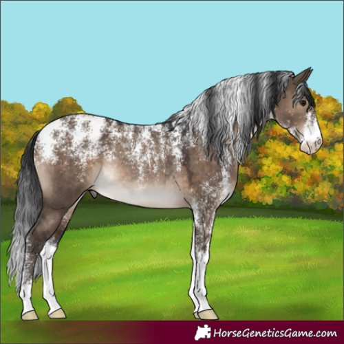 Horse Color:Powder White Brown Dun Rabicano