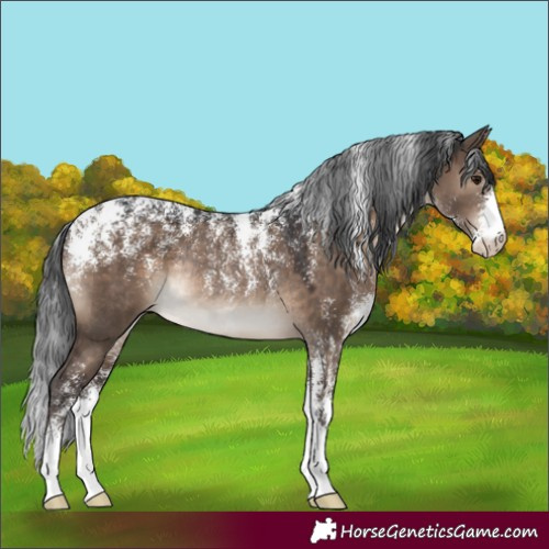 Horse Color:Powder White Brown Dun Rabicano 