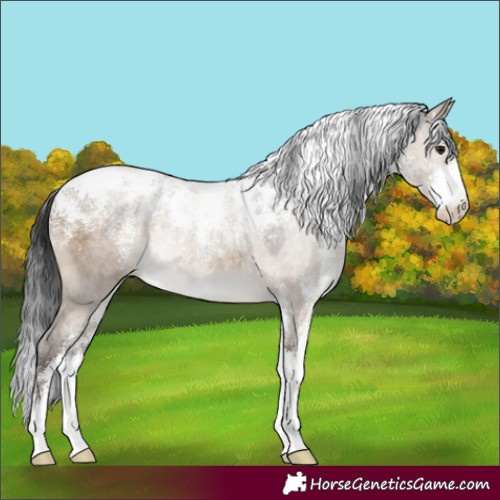 Horse Color:Powder White Brown Dun Rabicano