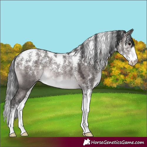 Horse Color:Powder White Platinum Brown Dun Rabicano 