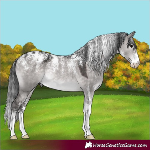 Horse Color:Powder White Platinum Brown Dun Rabicano