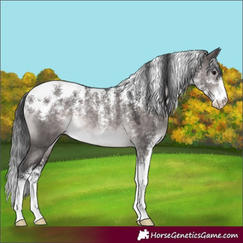 Horse Color:Powder White Platinum Brown Dun Rabicano