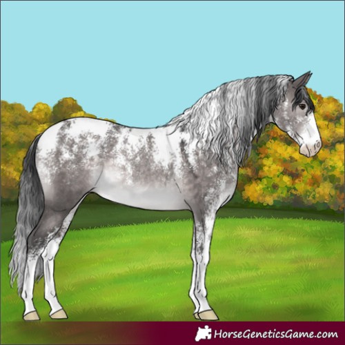 Horse Color:Powder White Platinum Brown Dun Rabicano
