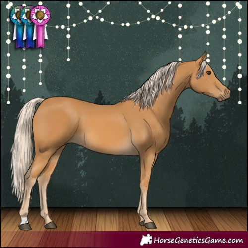 Horse Color:Palomino 