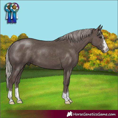 Horse Color:Silver Black 