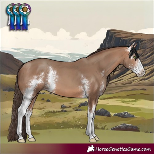 Horse Color:Amber Champagne Sabino 