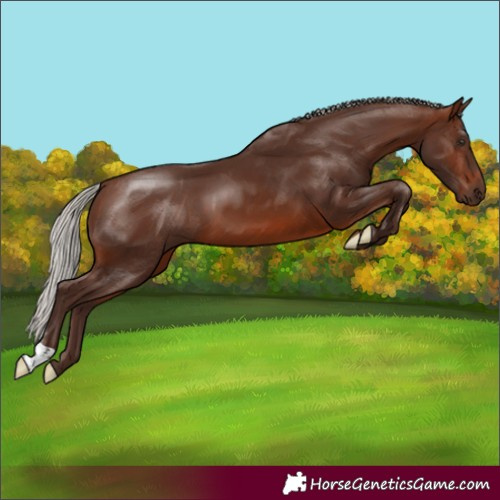 Horse Color:Silver Brown 