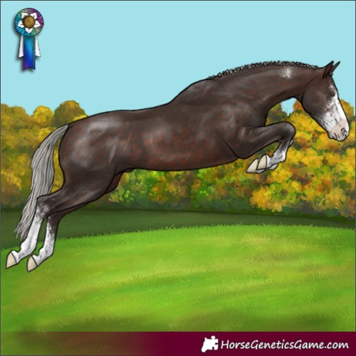 Horse Color:Silver Brown Sabino 