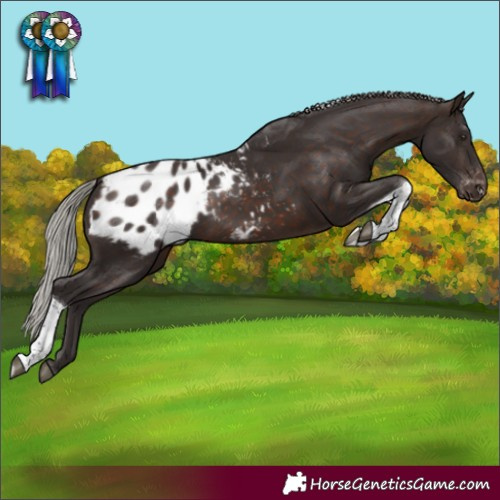 Horse Color:Silver Brown Tobiano Blanket Rabicano 