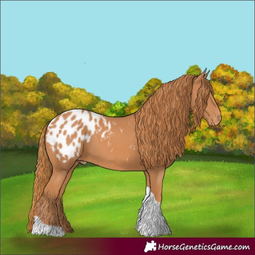 Horse Color:Chestnut Tobiano Blanket