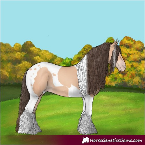Horse Color:Amber Champagne Tobiano