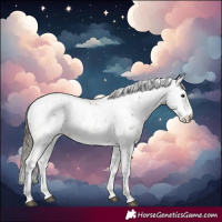 Horse Color:Buckskin Sabino