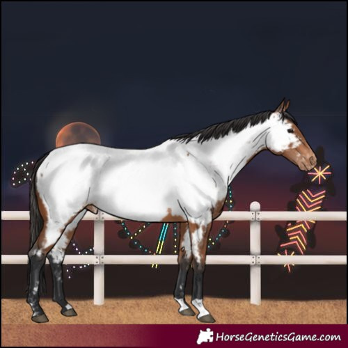 Horse Color:Bay Near Fewspot
