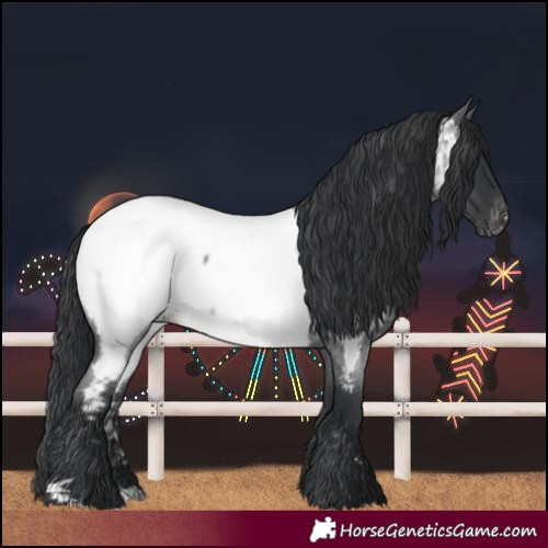 Horse Color:Blue Roan Near Fewspot 