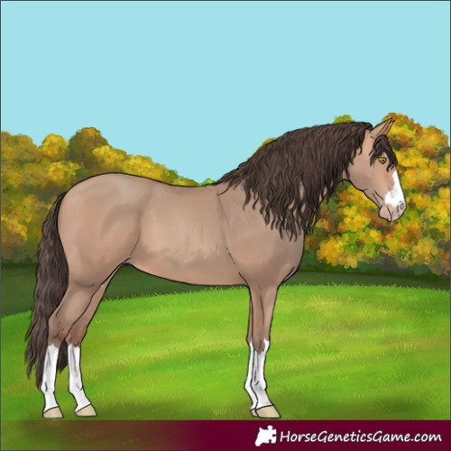 Horse Color:Amber Champagne 