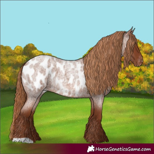 Horse Color:Red Roan Blanket 