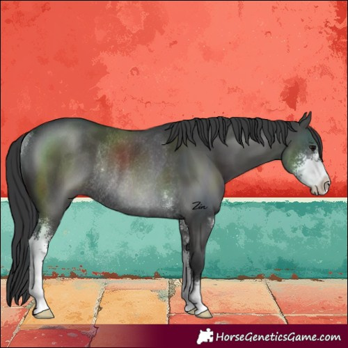 Horse Color:Black Sabino Rabicano 