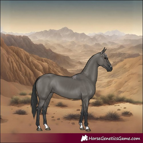 Horse Color:Grullo 