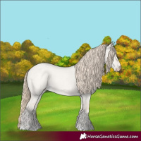 Horse Color:Smoky Creme Roan Dun