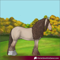 Horse Color:Classic Champagne Dun