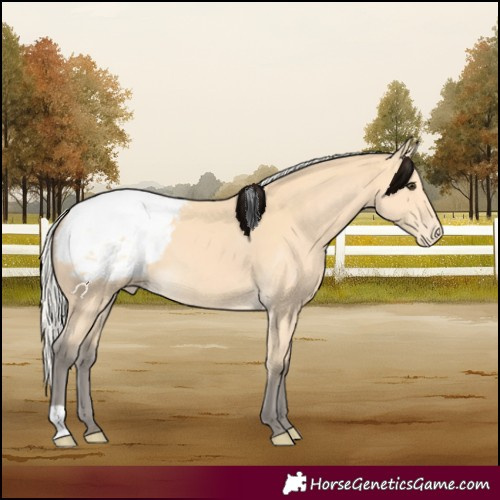 Horse Color:Silver Buckskin Snowcap 