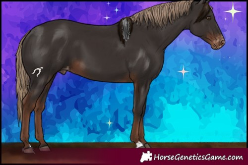 Horse Color:Liver Chestnut Varnish 