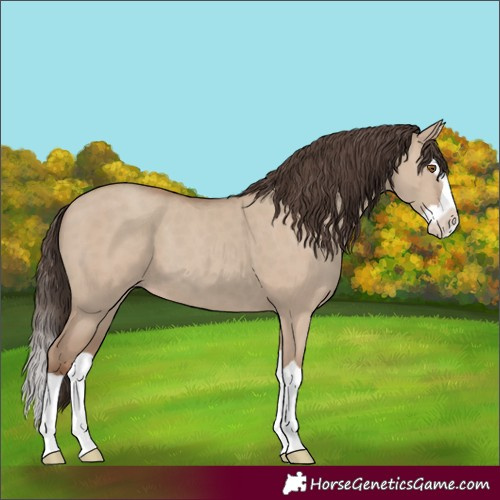 Horse Color:Classic Champagne Dun Splash