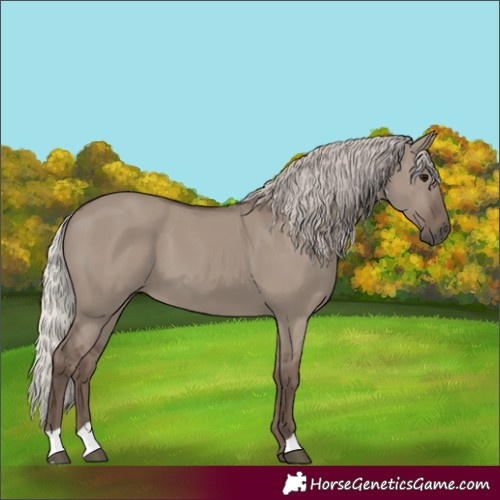 Horse Color:Silver Grullo 