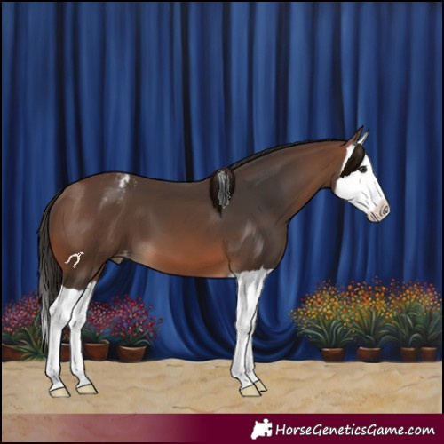 Horse Color:Brown Splash Varnish 