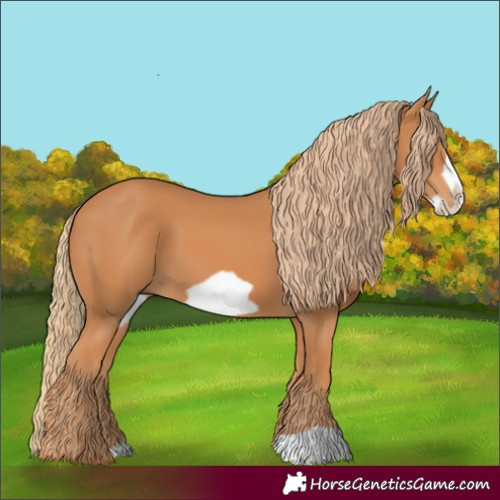 Horse Color:Chestnut Frame