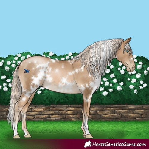 Horse Color:White Spotted Chocolate Palomino Pearl 