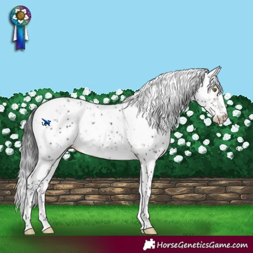 Horse Color:Brown Sabino Rabicano 