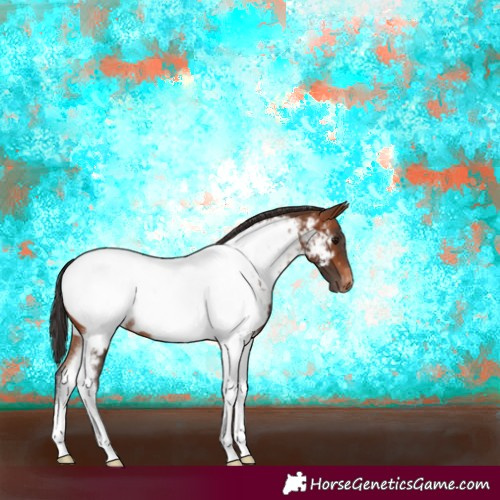 Horse Color:Bay Tobiano Near Fewspot Rabicano
