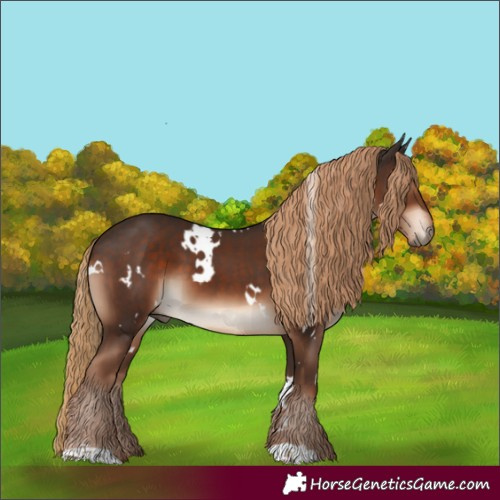 Horse Color:White Spotted Liver Chestnut