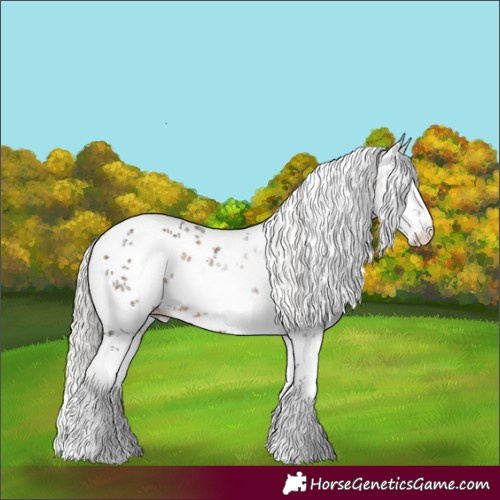 Horse Color:White Spotted Silver Brown Sabino Rabicano 