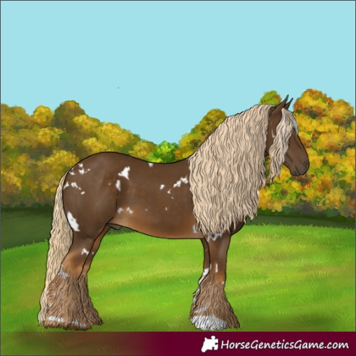 Horse Color:White Spotted Chocolate Palomino