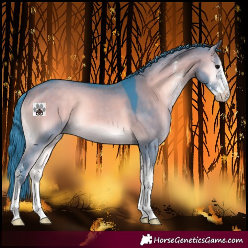 Horse Color:Watercolor Brown Onyx Sabino