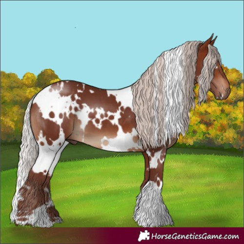 Horse Color:White Spotted Chocolate Silver Brown