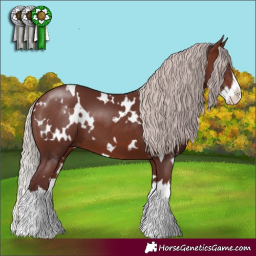 Horse Color:White Spotted Chocolate Silver Brown Splash