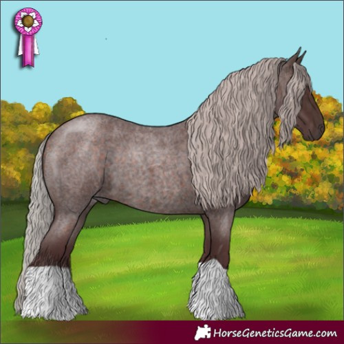 Horse Color:Chocolate Silver Brown Roan 