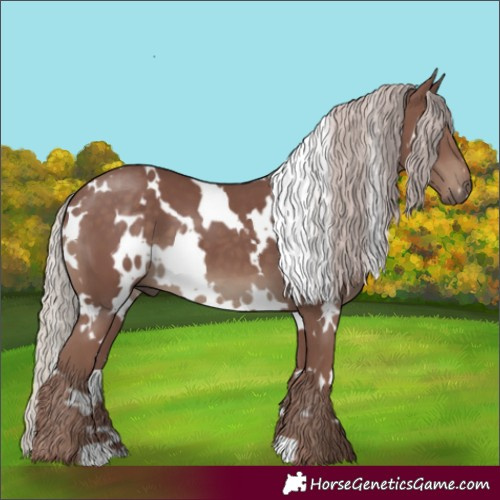 Horse Color:White Spotted Chocolate Silver Black 