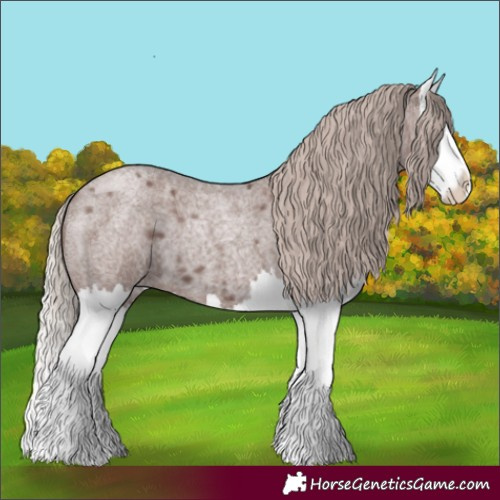 Horse Color:Chocolate Silver Blue Roan Splash
