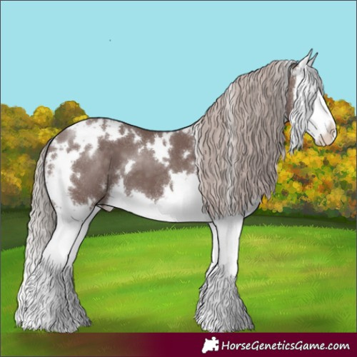 Horse Color:White Spotted Chocolate Silver Black Splash 
