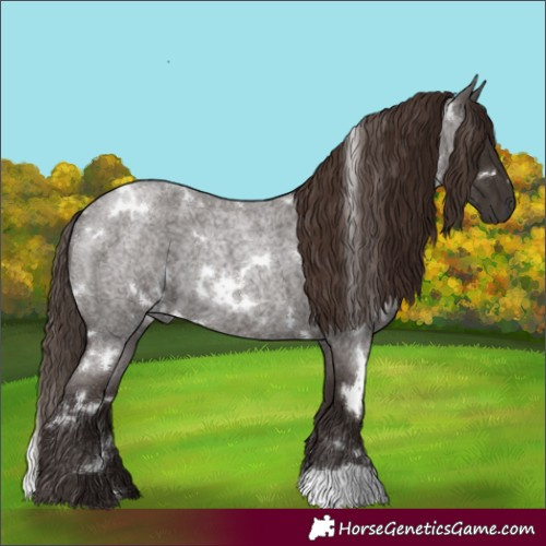 Horse Color:White Spotted Liver Red Roan 