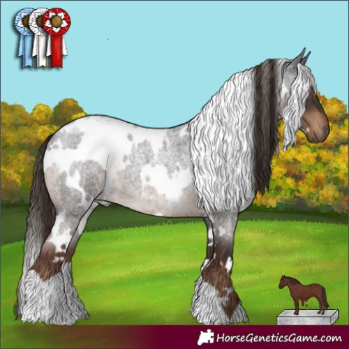 Horse Color:White Spotted Liver Red Roan 