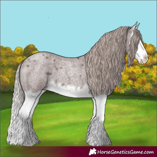 Horse Color:Chocolate Silver Blue Roan Splash 