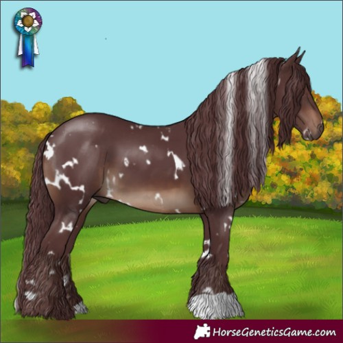 Horse Color:White Spotted Chocolate Brown 