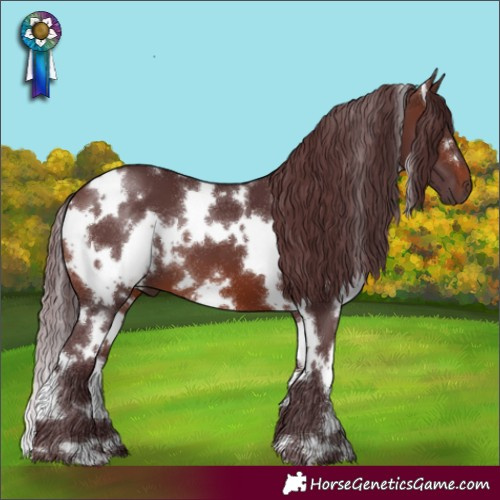 Horse Color:White Spotted Chocolate Brown 