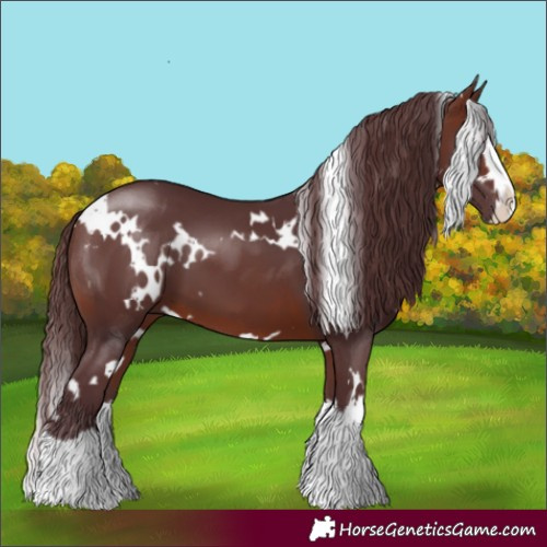 Horse Color:White Spotted Chocolate Brown Splash