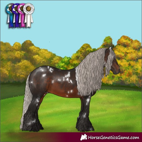 Horse Color:Gray White Spotted Silver Bay Rabicano